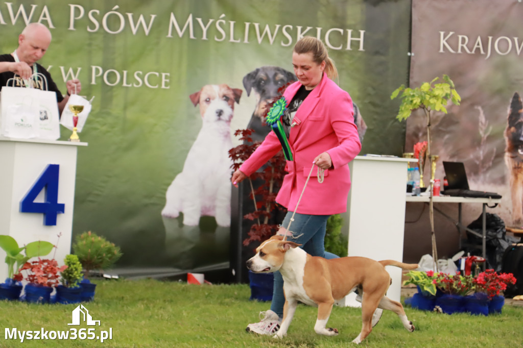 Wystawa Psów Rasowych w GNIAZDOWIE Konkurencje Finałowe