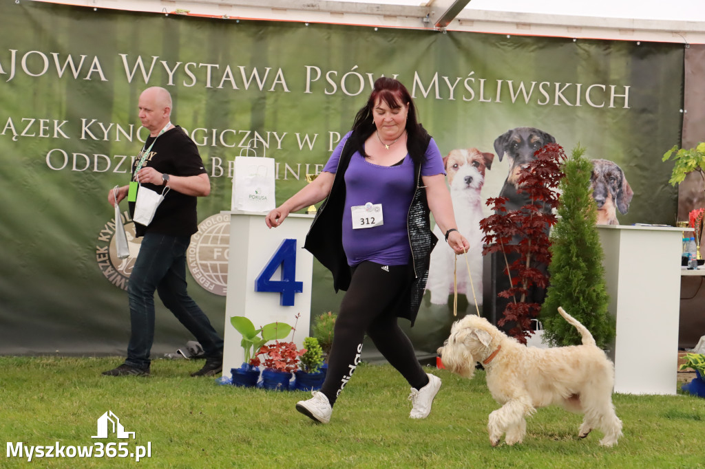 Wystawa Psów Rasowych w GNIAZDOWIE Konkurencje Finałowe