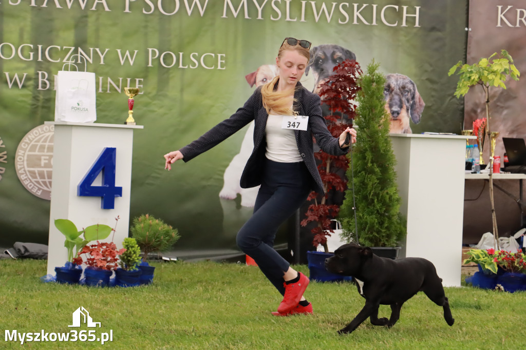 Wystawa Psów Rasowych w GNIAZDOWIE Konkurencje Finałowe