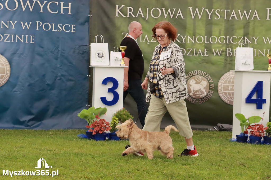 Wystawa Psów Rasowych w GNIAZDOWIE Konkurencje Finałowe