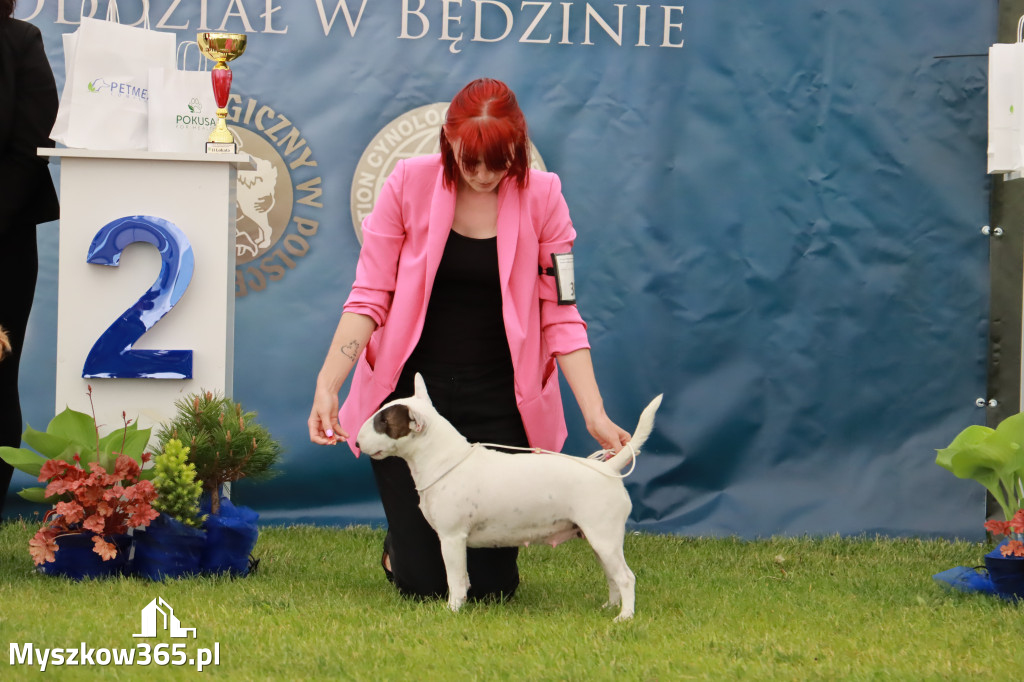 Wystawa Psów Rasowych w GNIAZDOWIE Konkurencje Finałowe