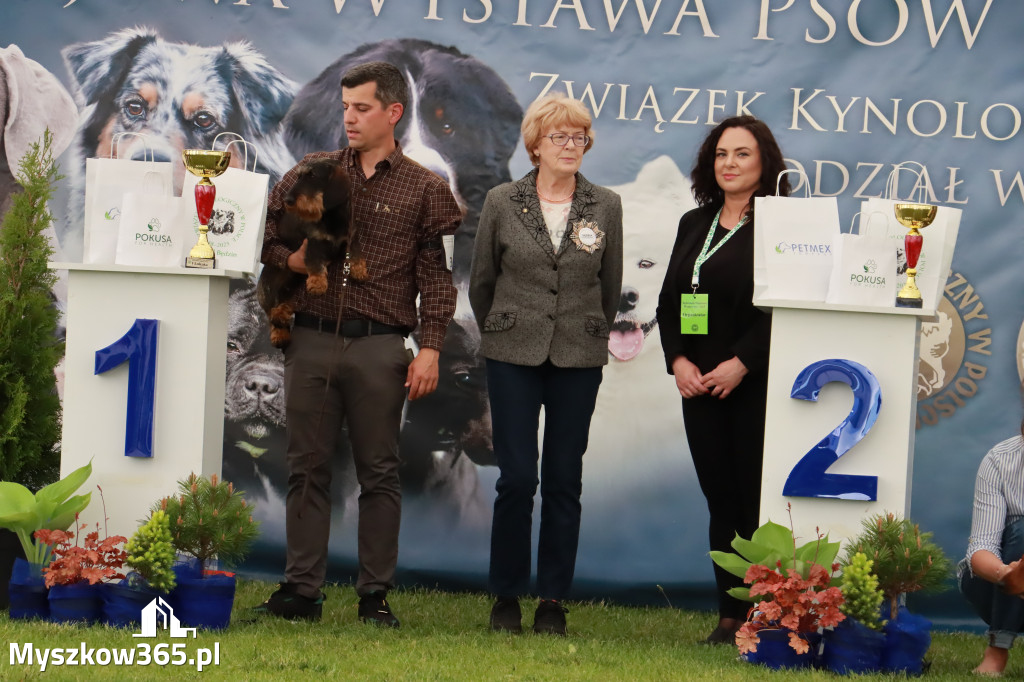 Wystawa Psów Rasowych w GNIAZDOWIE Konkurencje Finałowe