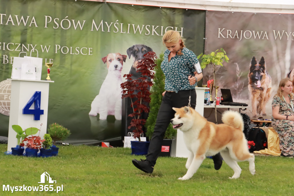 Wystawa Psów Rasowych w GNIAZDOWIE Konkurencje Finałowe