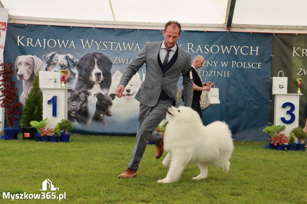 Wystawa Psów Rasowych w GNIAZDOWIE Konkurencje Finałowe