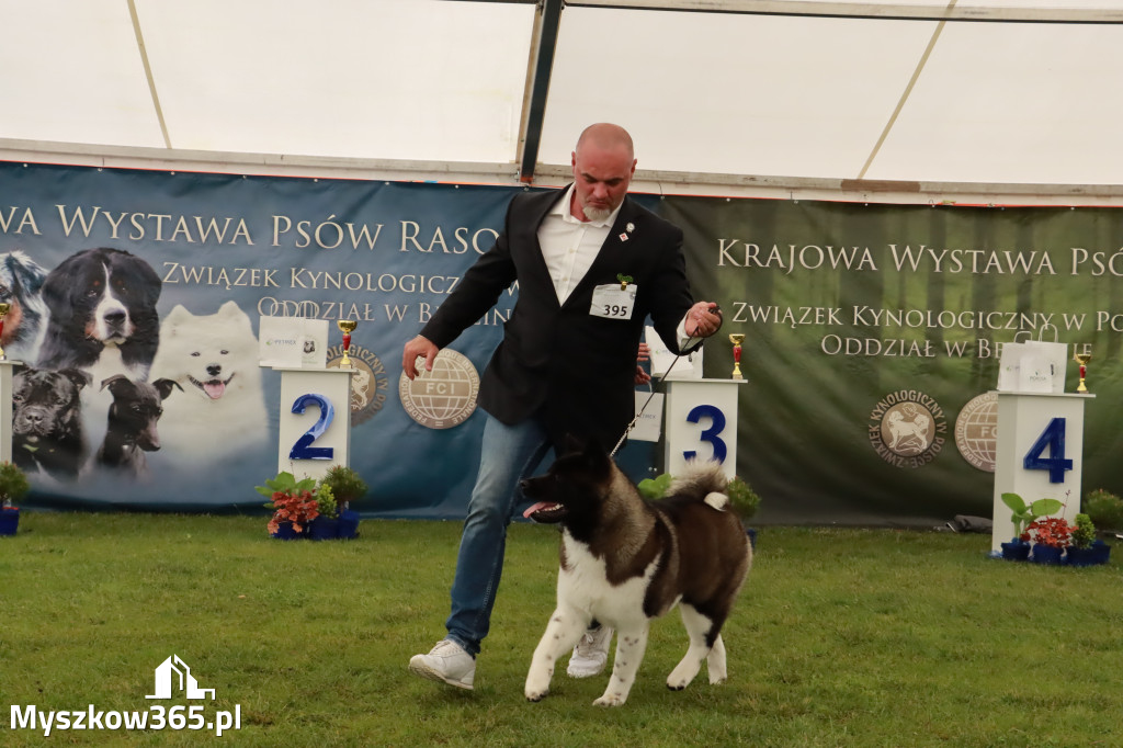 Wystawa Psów Rasowych w GNIAZDOWIE Konkurencje Finałowe