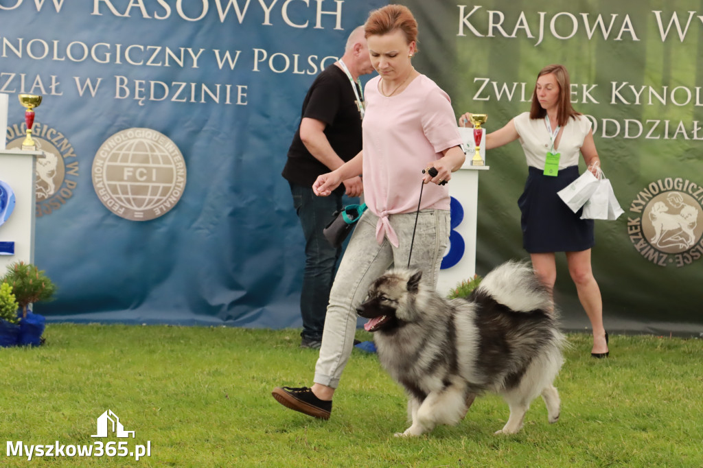 Wystawa Psów Rasowych w GNIAZDOWIE Konkurencje Finałowe