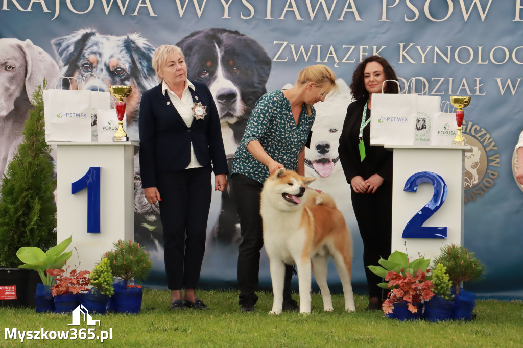 Wystawa Psów Rasowych w GNIAZDOWIE Konkurencje Finałowe