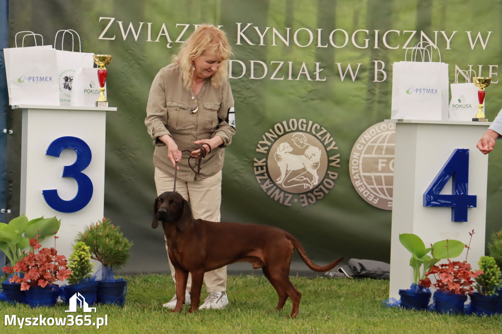 Wystawa Psów Rasowych w GNIAZDOWIE Konkurencje Finałowe