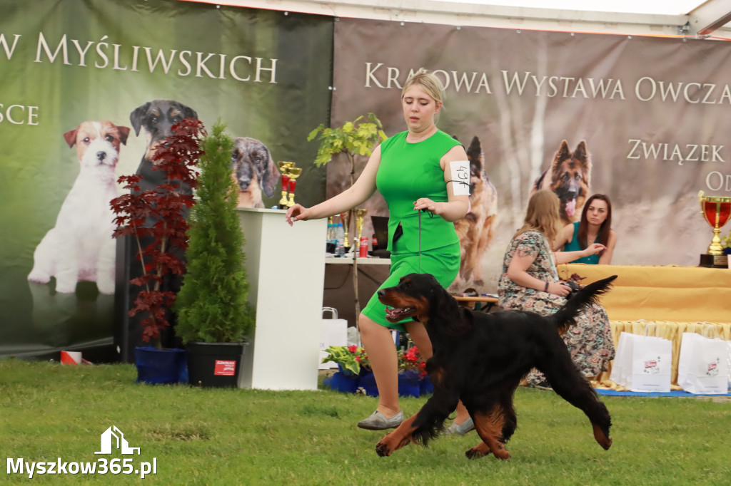 Wystawa Psów Rasowych w GNIAZDOWIE Konkurencje Finałowe