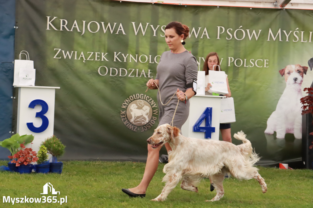 Wystawa Psów Rasowych w GNIAZDOWIE Konkurencje Finałowe