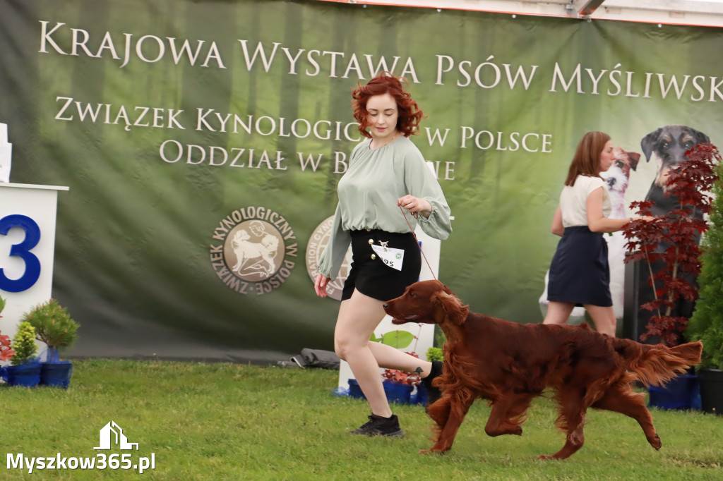 Wystawa Psów Rasowych w GNIAZDOWIE Konkurencje Finałowe