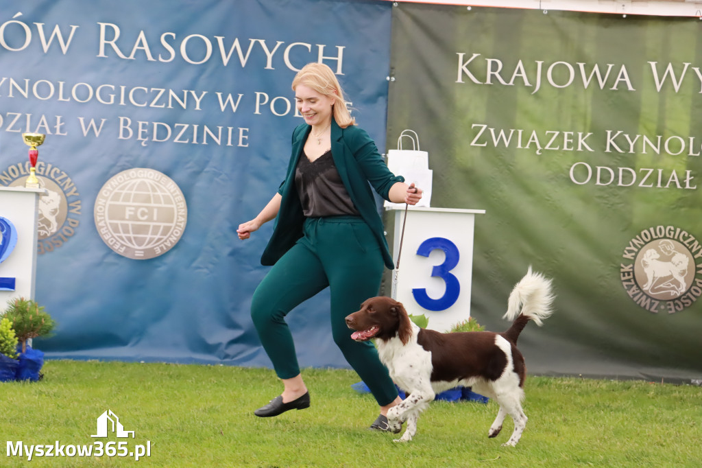 Wystawa Psów Rasowych w GNIAZDOWIE Konkurencje Finałowe