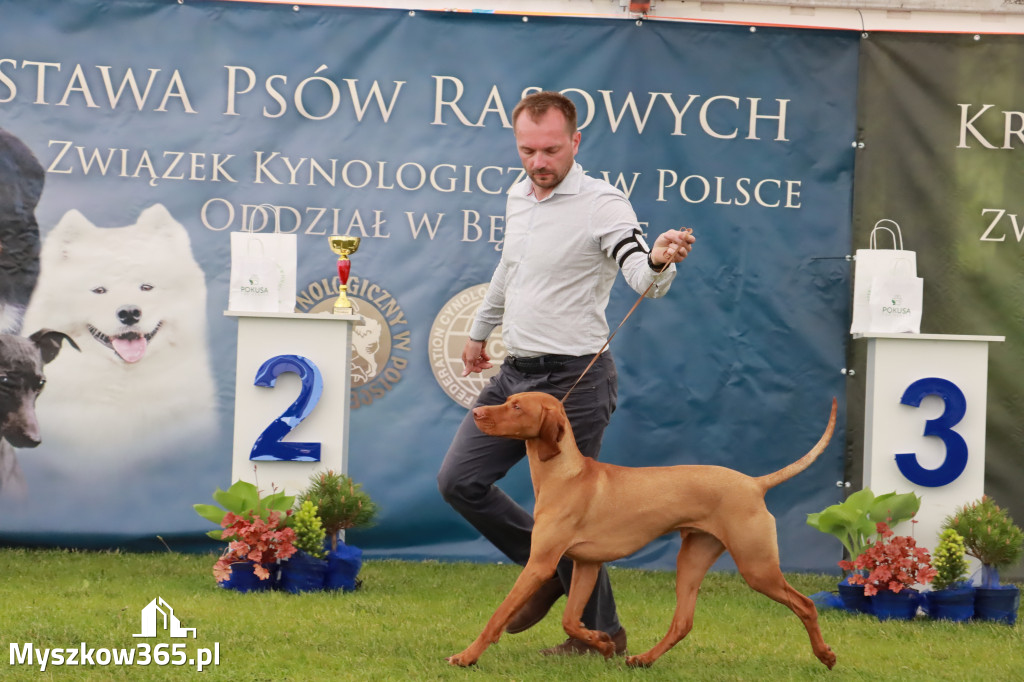 Wystawa Psów Rasowych w GNIAZDOWIE Konkurencje Finałowe