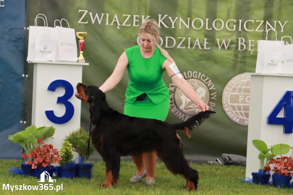 Wystawa Psów Rasowych w GNIAZDOWIE Konkurencje Finałowe