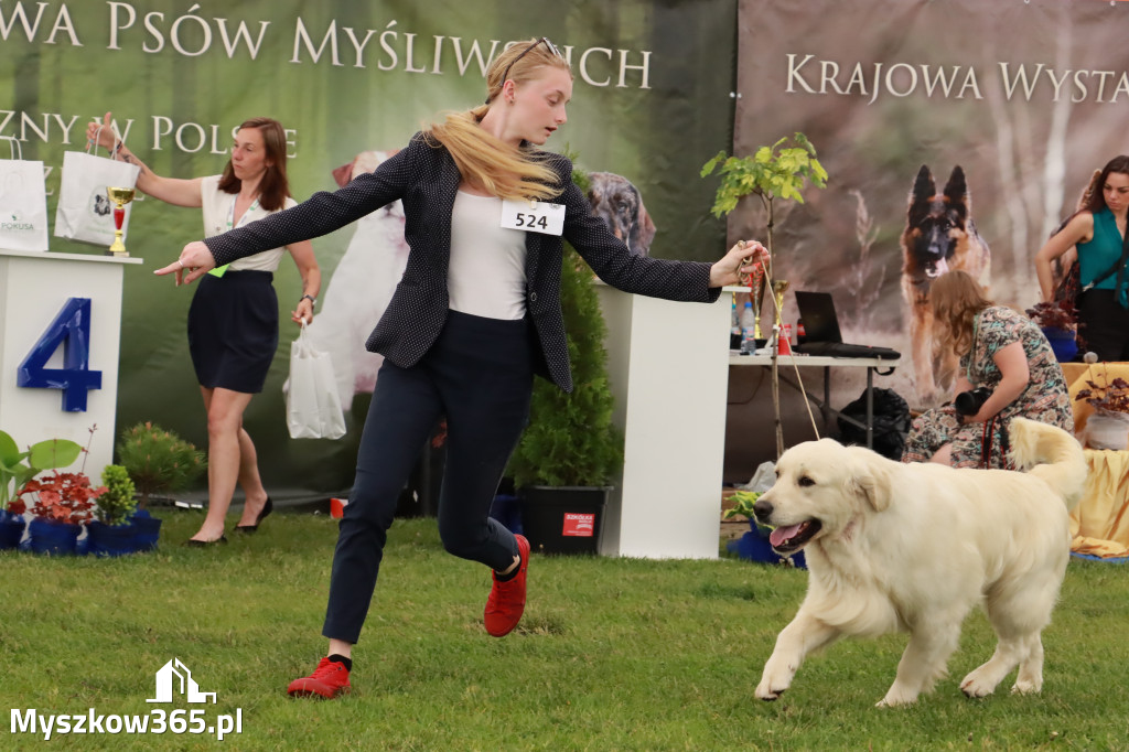 Wystawa Psów Rasowych w GNIAZDOWIE Konkurencje Finałowe