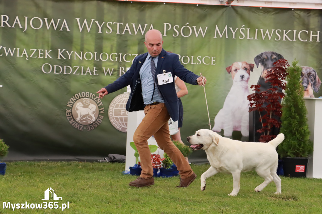 Wystawa Psów Rasowych w GNIAZDOWIE Konkurencje Finałowe