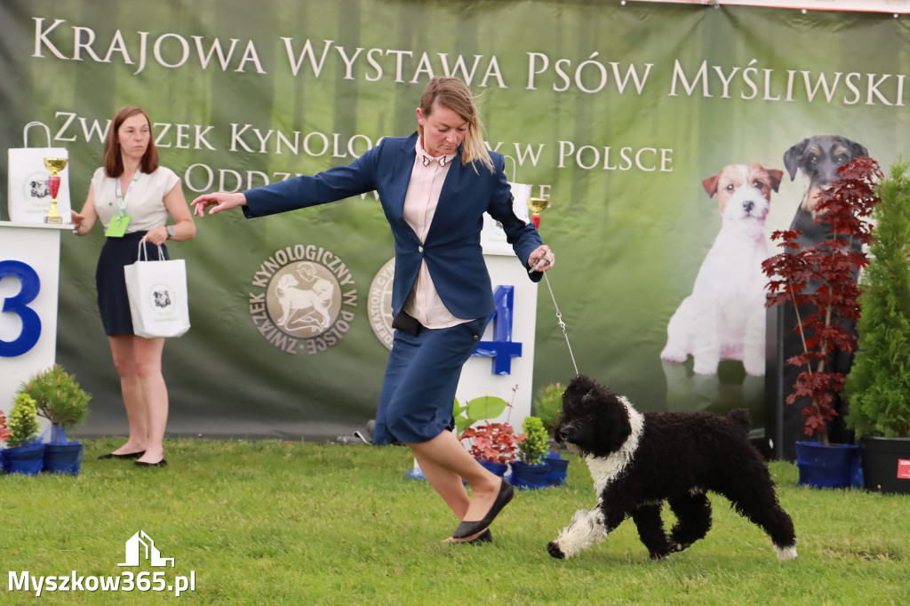 Wystawa Psów Rasowych w GNIAZDOWIE Konkurencje Finałowe