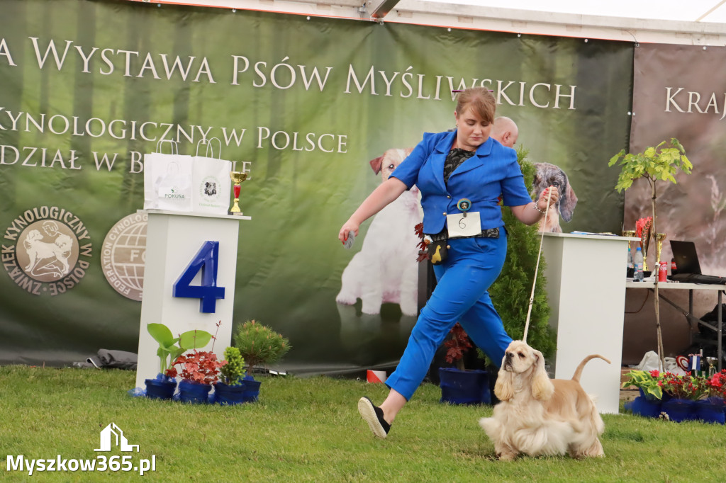 Wystawa Psów Rasowych w GNIAZDOWIE Konkurencje Finałowe