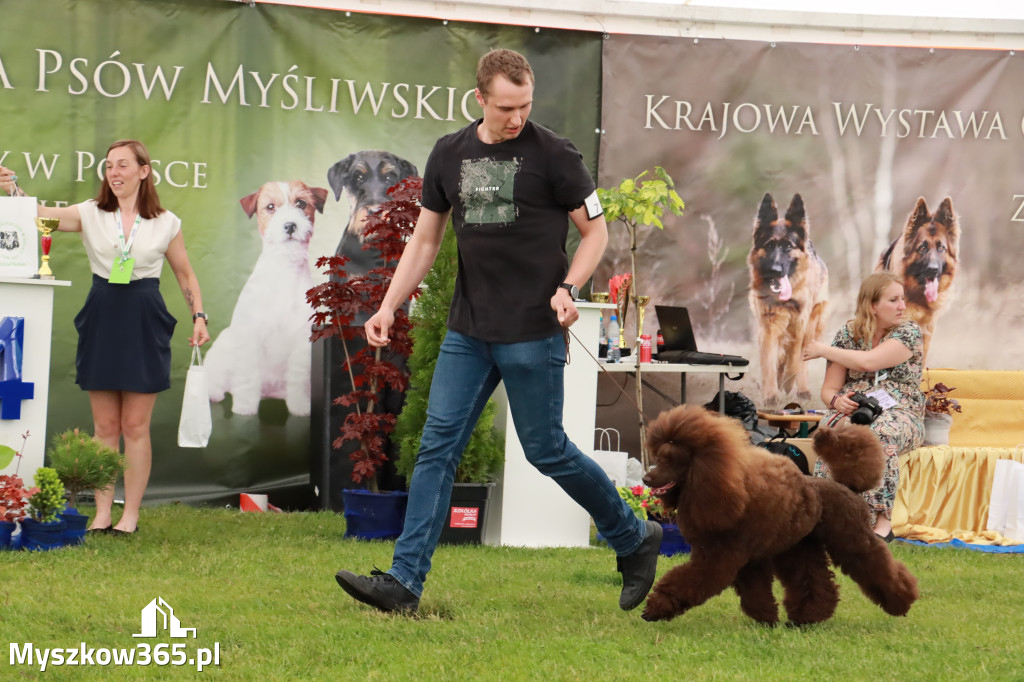 Wystawa Psów Rasowych w GNIAZDOWIE Konkurencje Finałowe