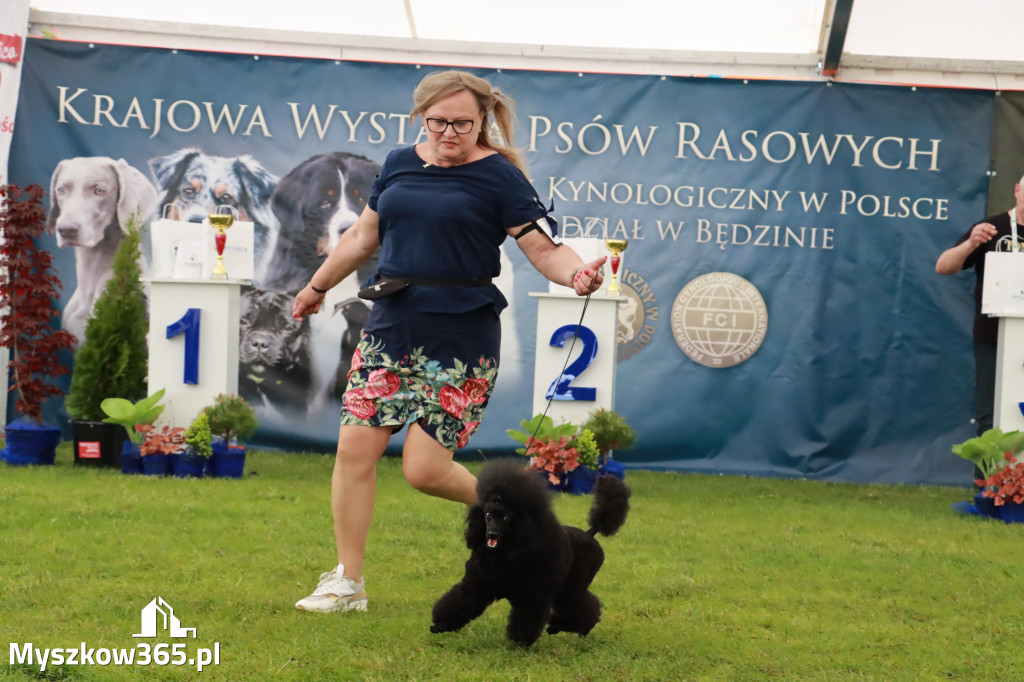 Wystawa Psów Rasowych w GNIAZDOWIE Konkurencje Finałowe