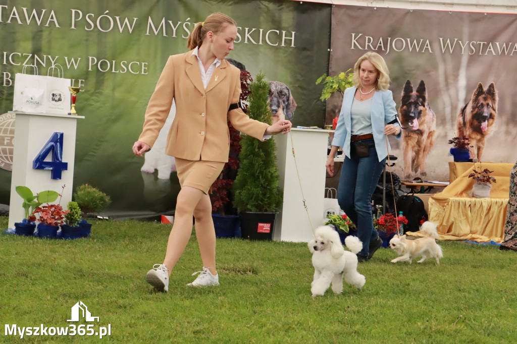 Wystawa Psów Rasowych w GNIAZDOWIE Konkurencje Finałowe