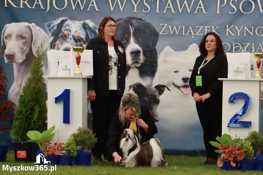 Wystawa Psów Rasowych w GNIAZDOWIE Konkurencje Finałowe