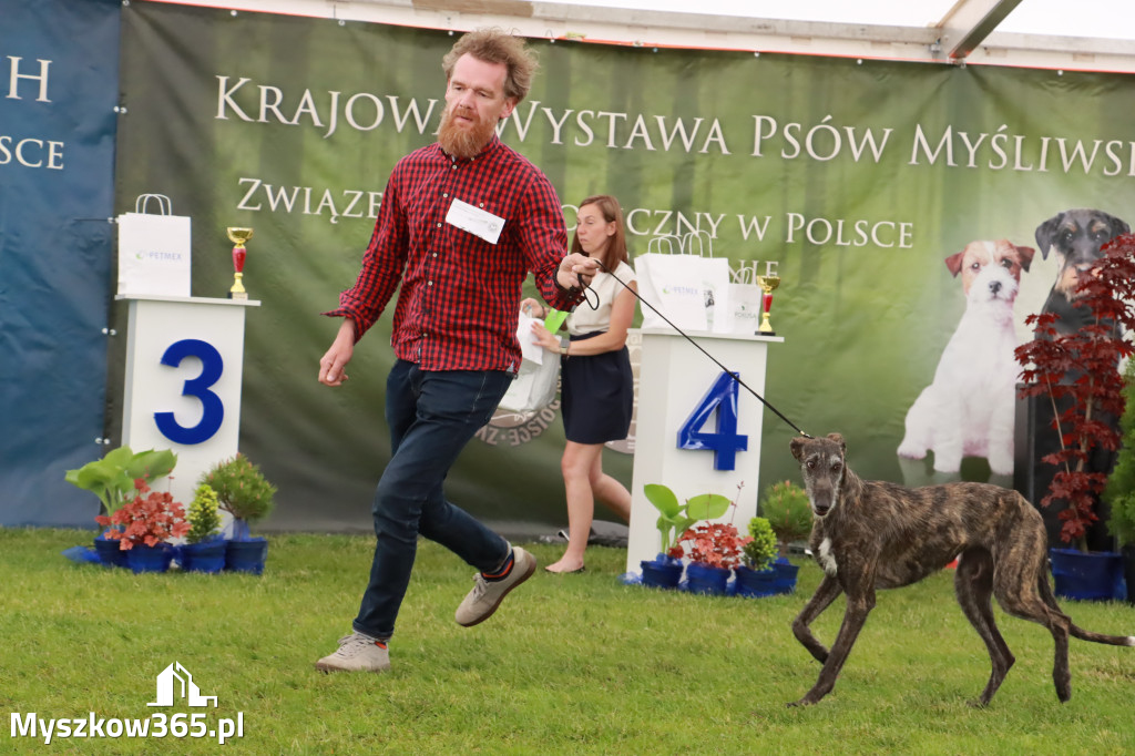 Wystawa Psów Rasowych w GNIAZDOWIE Konkurencje Finałowe