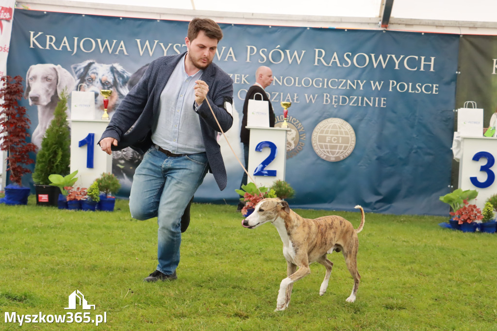 Wystawa Psów Rasowych w GNIAZDOWIE Konkurencje Finałowe