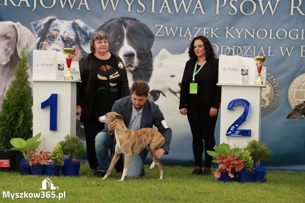 Wystawa Psów Rasowych w GNIAZDOWIE Konkurencje Finałowe