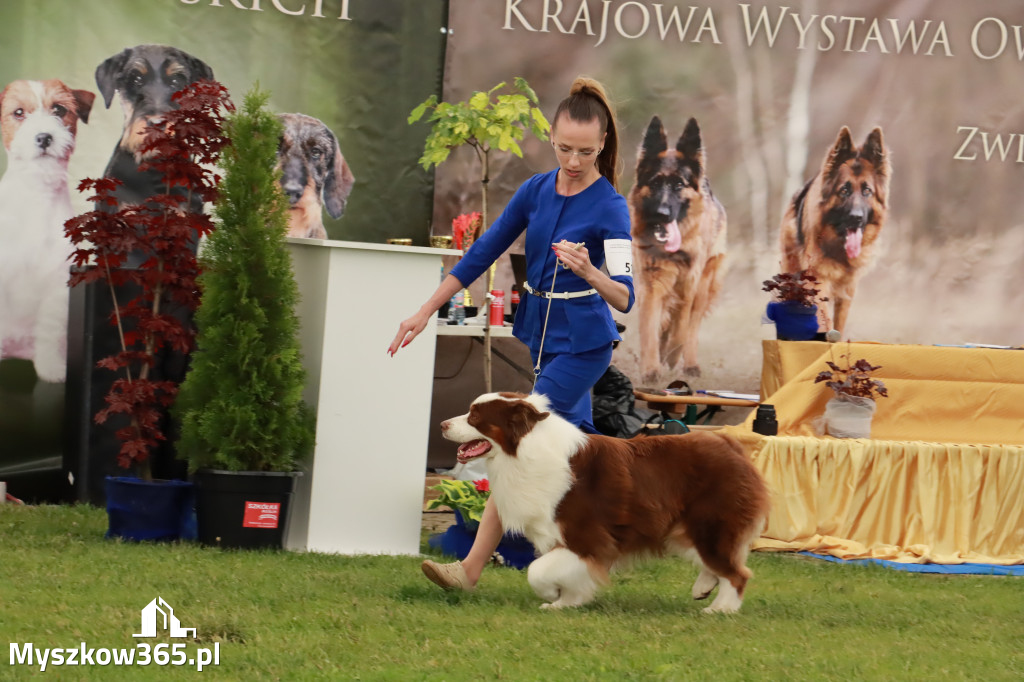 Wystawa Psów Rasowych w GNIAZDOWIE Konkurencje Finałowe