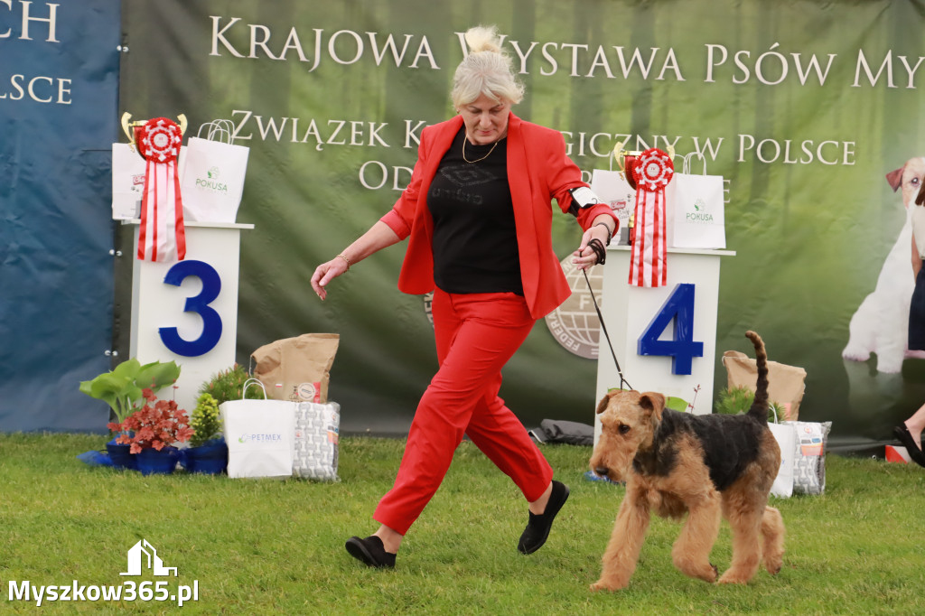 Wystawa Psów Rasowych w GNIAZDOWIE Konkurencje Finałowe