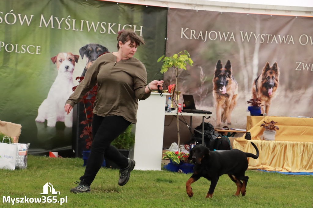 Wystawa Psów Rasowych w GNIAZDOWIE Konkurencje Finałowe