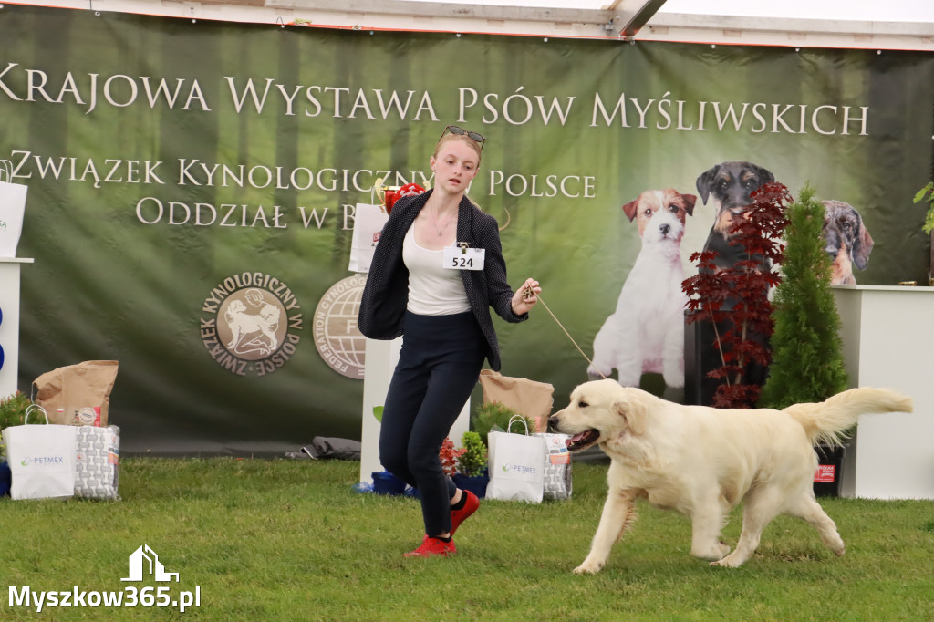 Wystawa Psów Rasowych w GNIAZDOWIE Konkurencje Finałowe