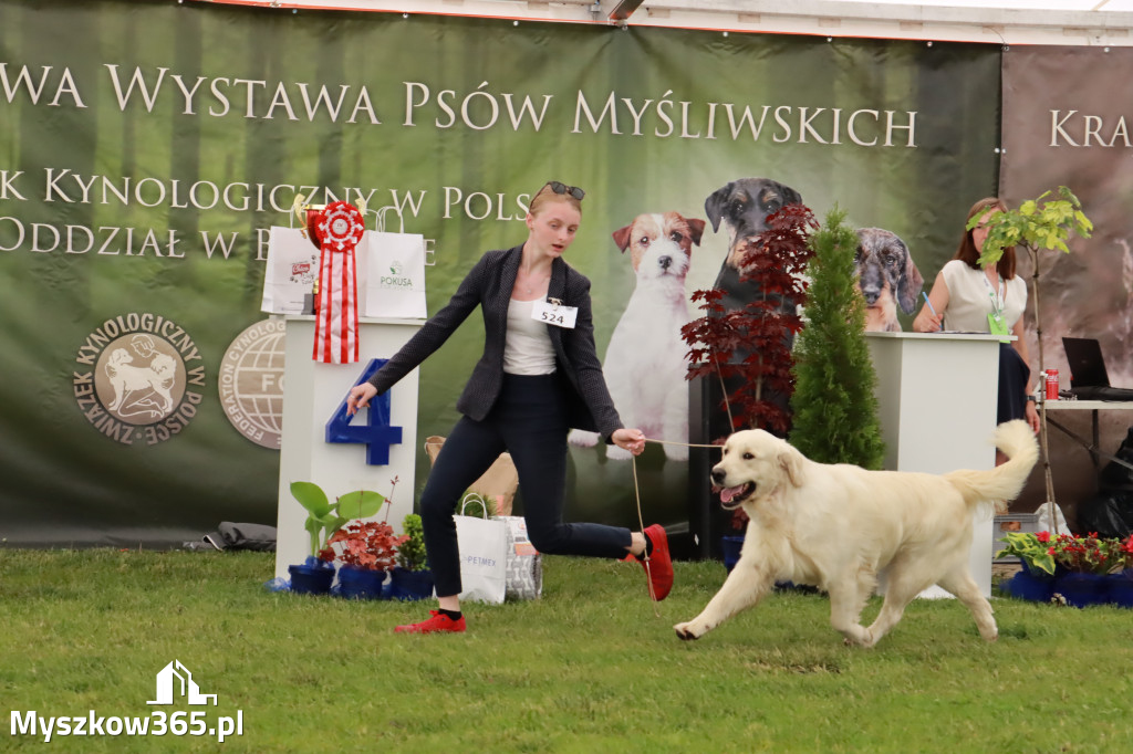 Wystawa Psów Rasowych w GNIAZDOWIE Konkurencje Finałowe