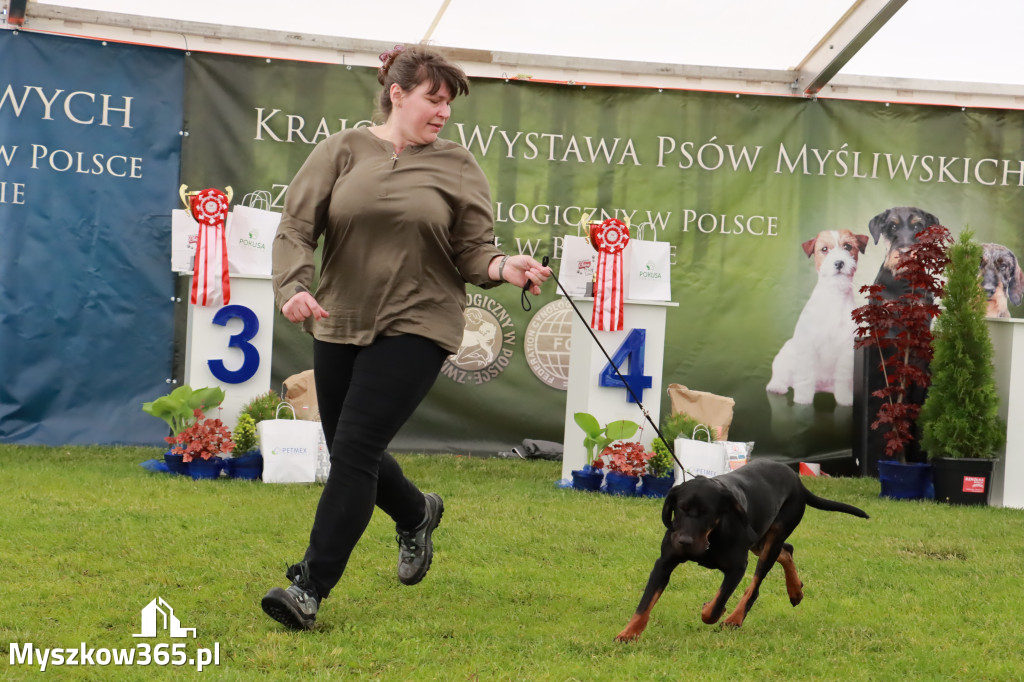 Wystawa Psów Rasowych w GNIAZDOWIE Konkurencje Finałowe