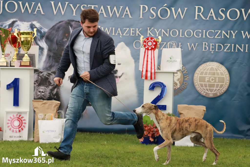 Wystawa Psów Rasowych w GNIAZDOWIE Konkurencje Finałowe