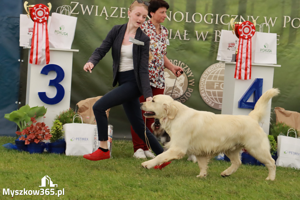 Wystawa Psów Rasowych w GNIAZDOWIE Konkurencje Finałowe