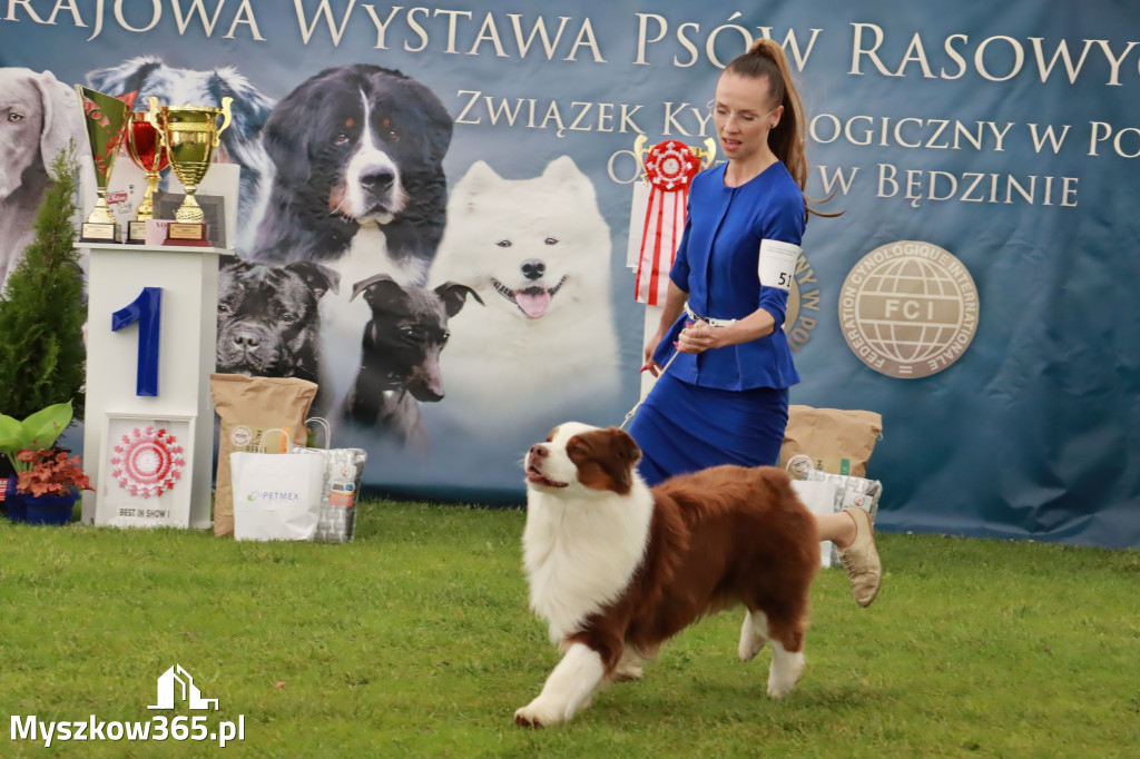 Wystawa Psów Rasowych w GNIAZDOWIE Konkurencje Finałowe