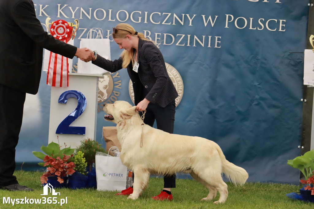 Wystawa Psów Rasowych w GNIAZDOWIE Konkurencje Finałowe