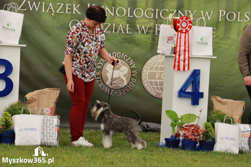 Wystawa Psów Rasowych w GNIAZDOWIE Konkurencje Finałowe