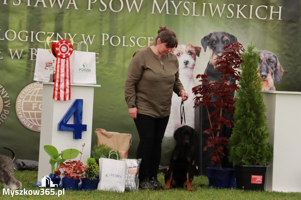 Wystawa Psów Rasowych w GNIAZDOWIE Konkurencje Finałowe