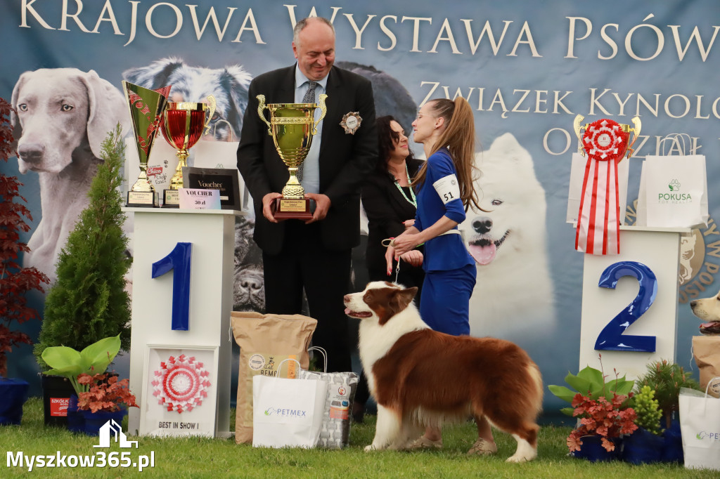 Wystawa Psów Rasowych w GNIAZDOWIE Konkurencje Finałowe