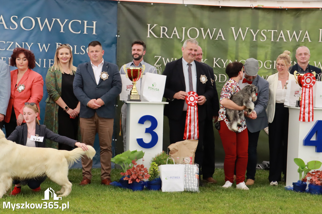 Wystawa Psów Rasowych w GNIAZDOWIE Konkurencje Finałowe