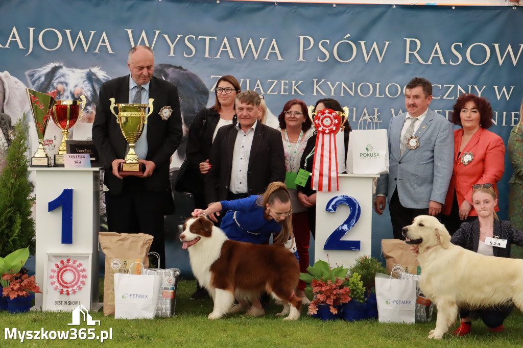 Wystawa Psów Rasowych w GNIAZDOWIE Konkurencje Finałowe