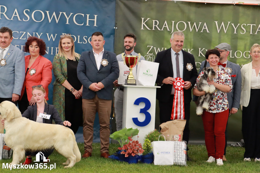 Wystawa Psów Rasowych w GNIAZDOWIE Konkurencje Finałowe