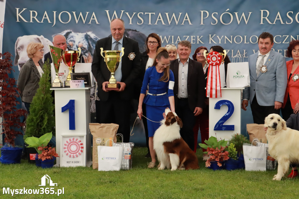 Wystawa Psów Rasowych w GNIAZDOWIE Konkurencje Finałowe