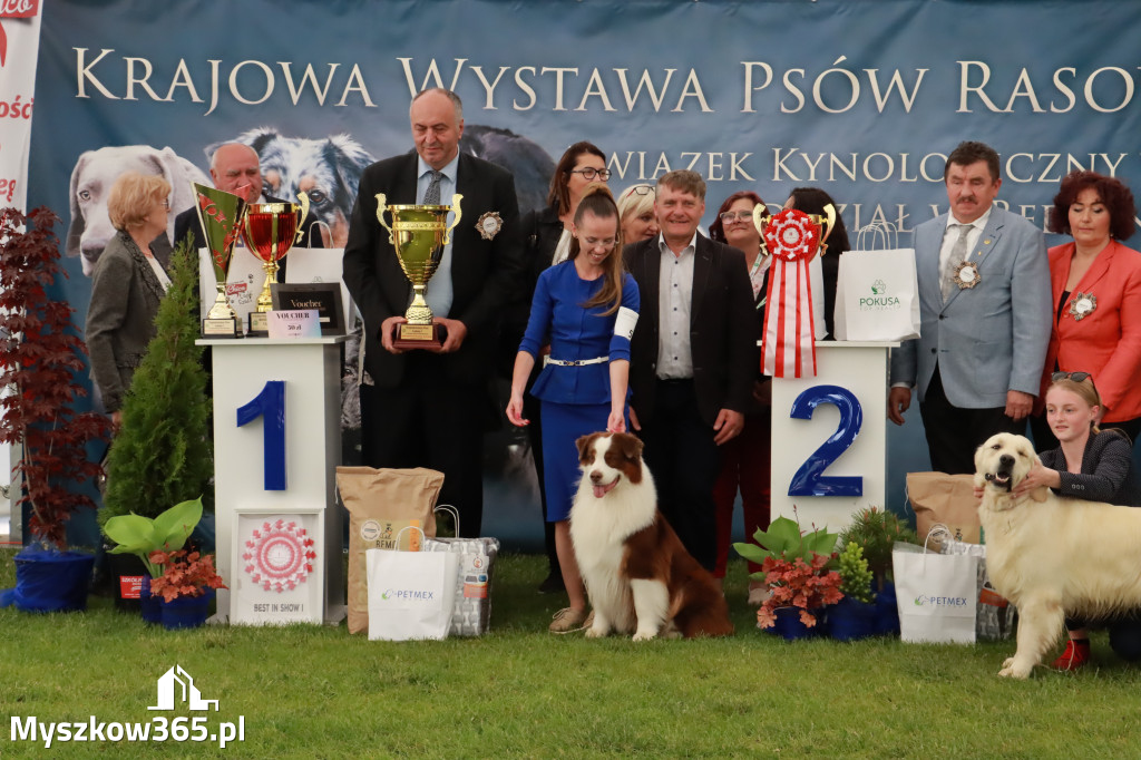 Wystawa Psów Rasowych w GNIAZDOWIE Konkurencje Finałowe