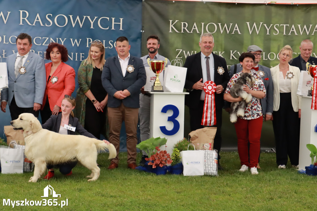 Wystawa Psów Rasowych w GNIAZDOWIE Konkurencje Finałowe