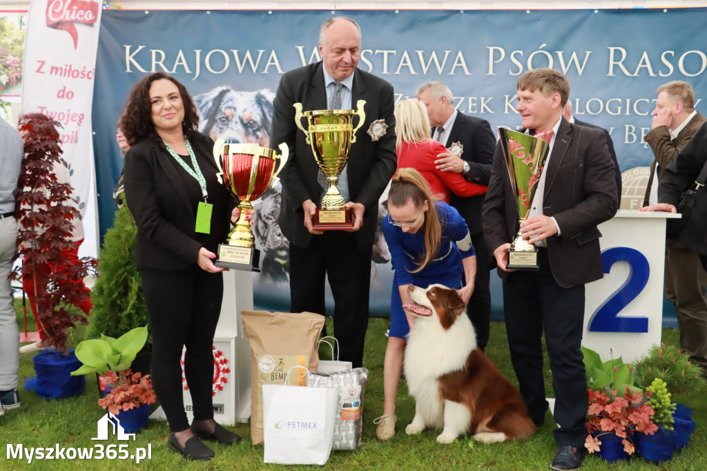 Wystawa Psów Rasowych w GNIAZDOWIE Konkurencje Finałowe