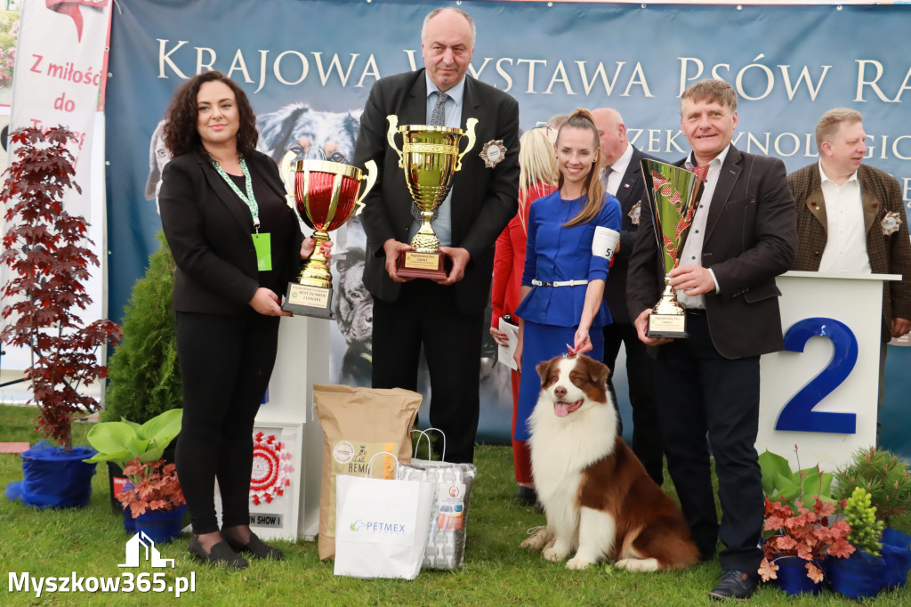 Wystawa Psów Rasowych w GNIAZDOWIE Konkurencje Finałowe